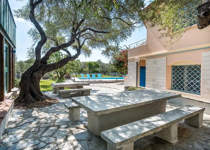 La Vela Gialla * كالا ليبيروتو